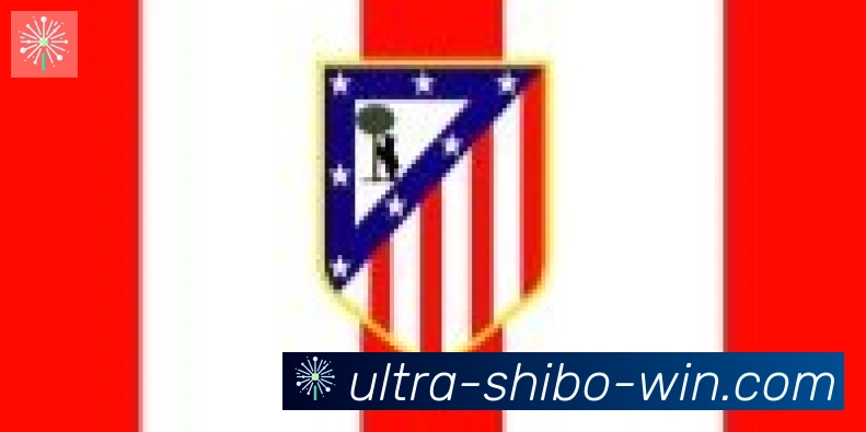 世博体育官网合作伙伴